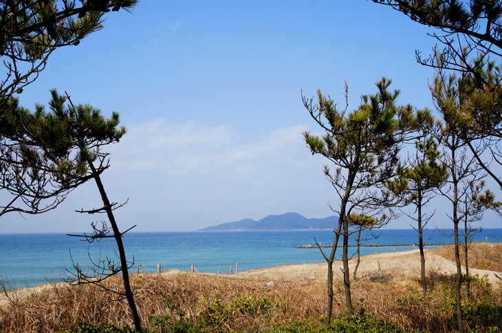 風景　建築