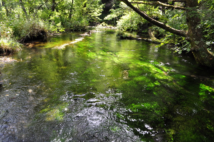 山　建築　河童橋　上高地　デザイン